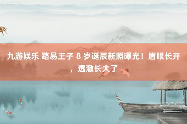 九游娱乐 路易王子 8 岁诞辰新照曝光！眉眼长开，透澈长大了