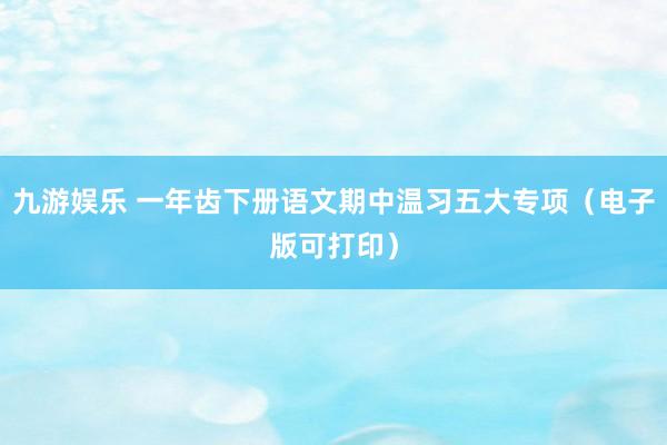 九游娱乐 一年齿下册语文期中温习五大专项（电子版可打印）