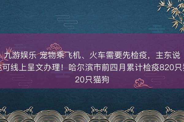九游娱乐 宠物乘飞机、火车需要先检疫，主东说念主可线上呈文办理！哈尔滨市前四月累计检疫820只猫狗
