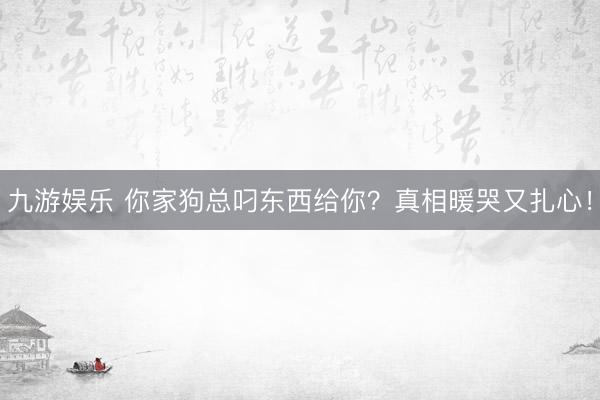 九游娱乐 你家狗总叼东西给你？真相暖哭又扎心！