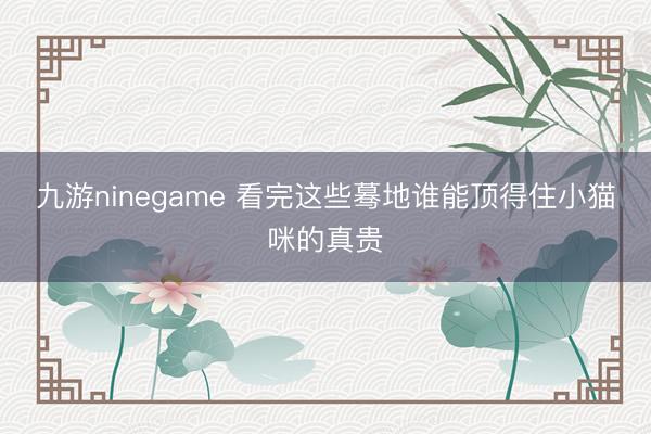 九游ninegame 看完这些蓦地谁能顶得住小猫咪的真贵